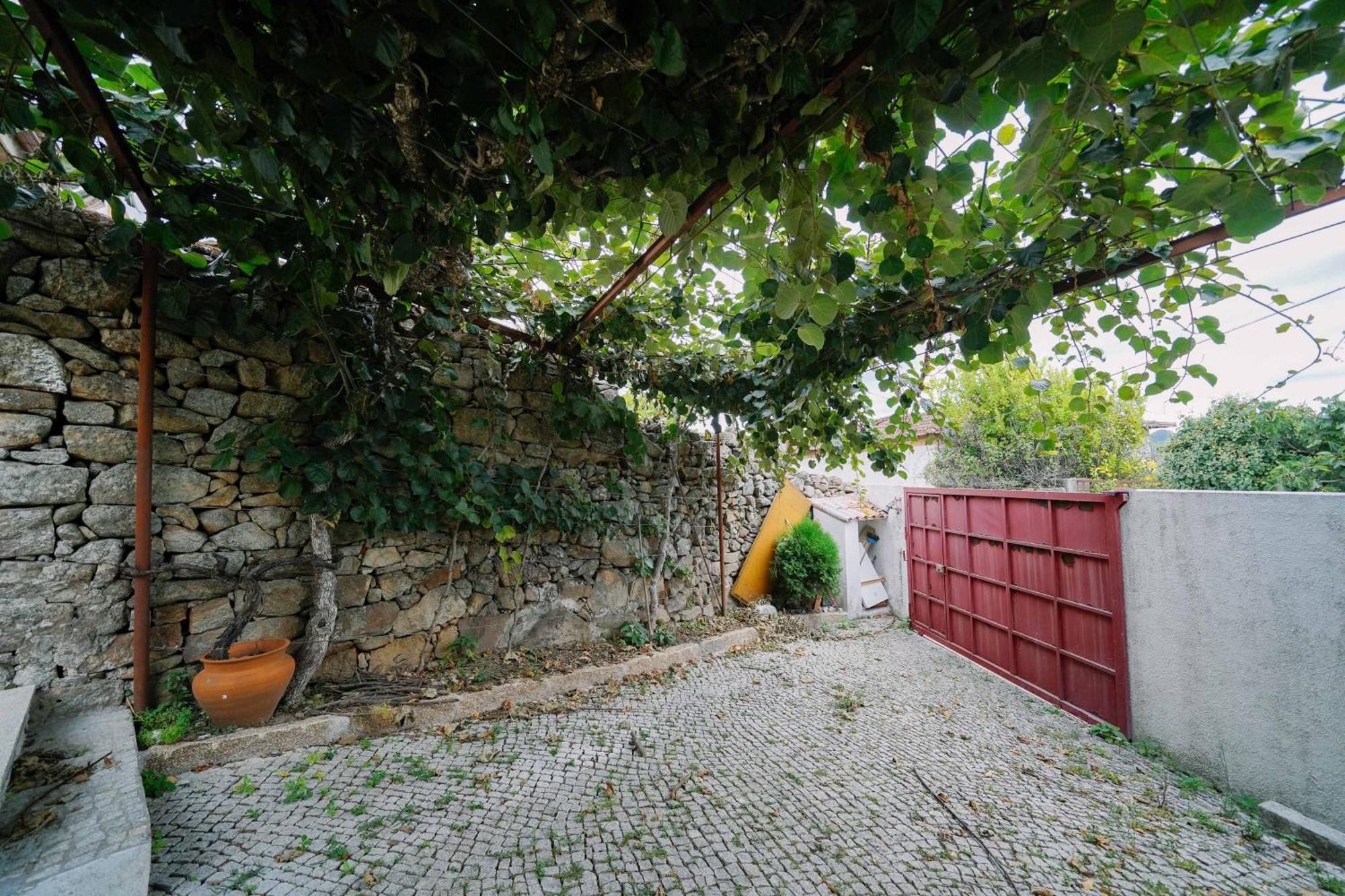 Martinho'S House Apartamento Alijó Exterior foto